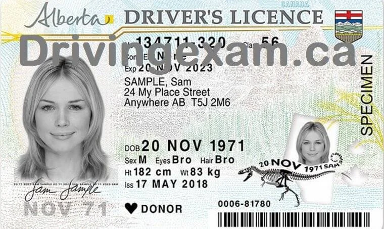 AB Permit Practice Test